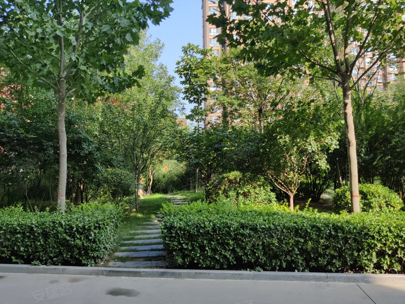 恺鑫橄榄城,库东路5号-运城恺鑫橄榄城二手房,租房,房价-运城安居客