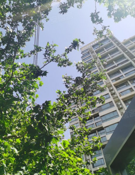 龙居华府,龙沄路,近鸿宝路-郑州龙居华府二手房,租房,房价-郑州安居客