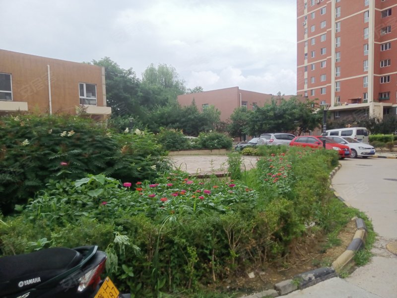 阳光四季城桃李苑