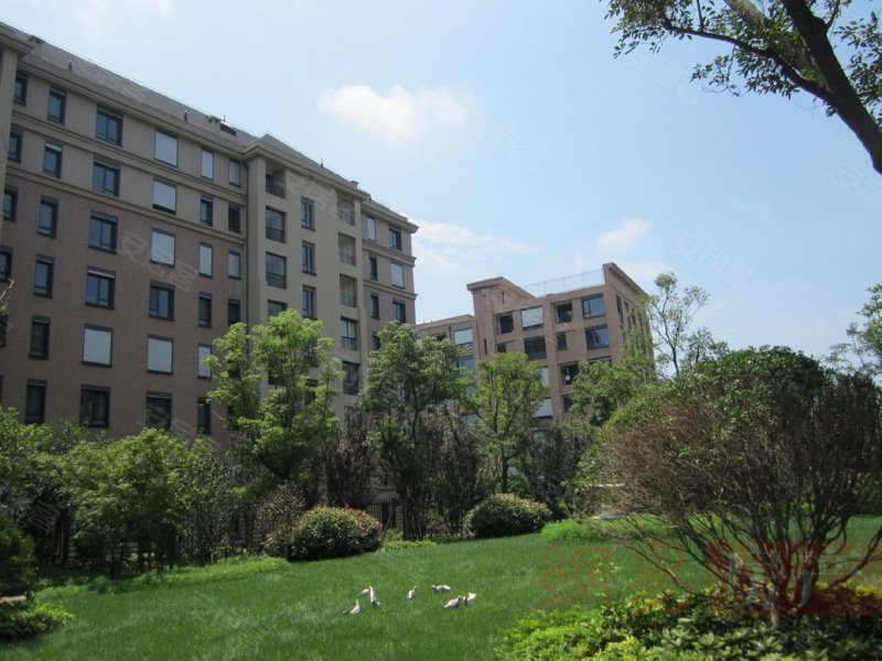 朗诗绿岛(别墅)