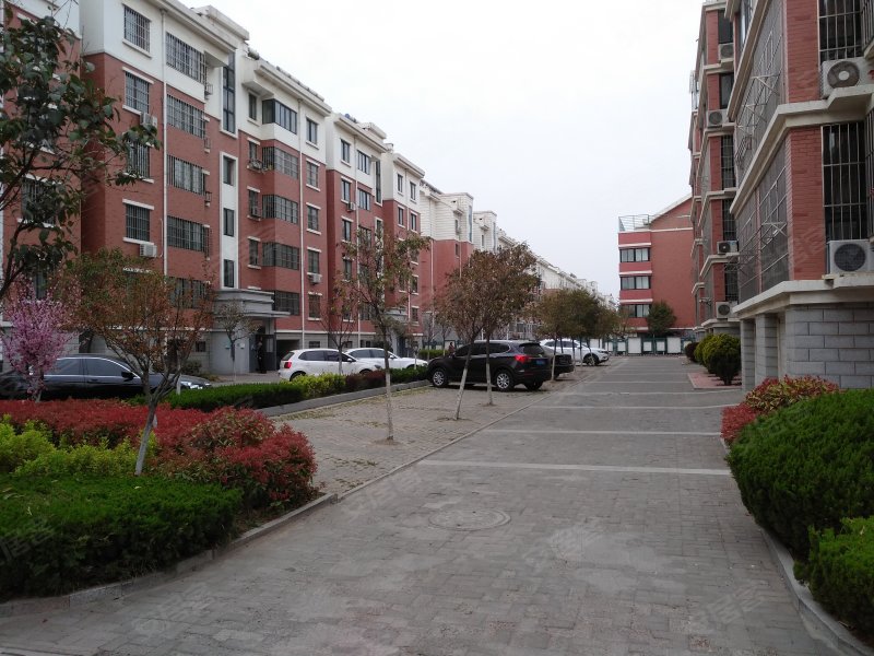 澳门花园(胶州),澳门路70号-青岛澳门花园(胶州)二手房,租房,房价