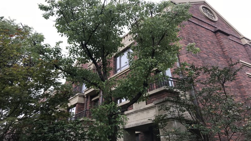 首创旭辉城(一期别墅) 