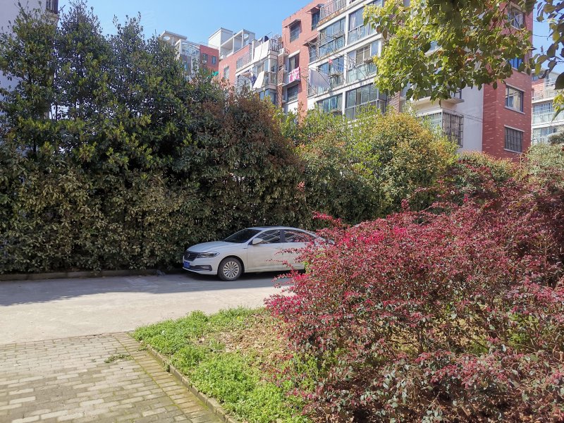 雍锦园,珠江路-芜湖雍锦园二手房,租房,房价-芜湖安居客