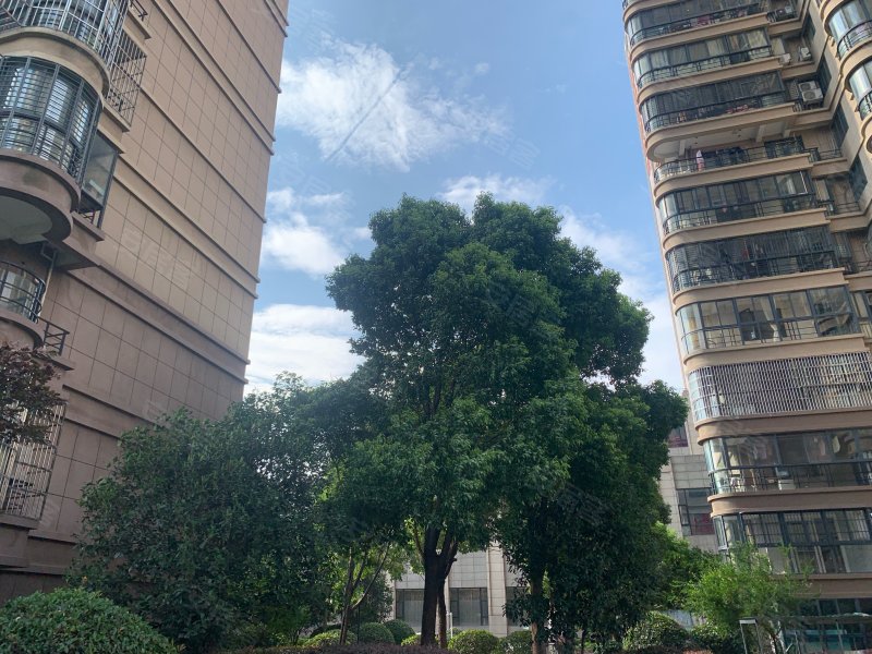 瑞龙公馆,濉溪路269号-合肥瑞龙公馆二手房,租房,房价-合肥安居客