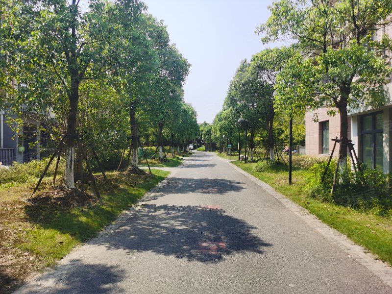 安亭新镇宾根花园(别墅) 