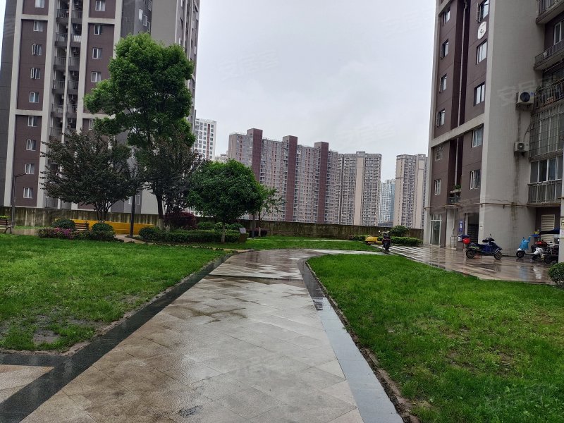 中天渔安新城e组团