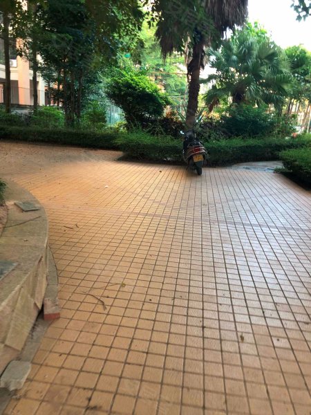 棕榈园,广南线-茂名棕榈园二手房,租房,房价-茂名安居客