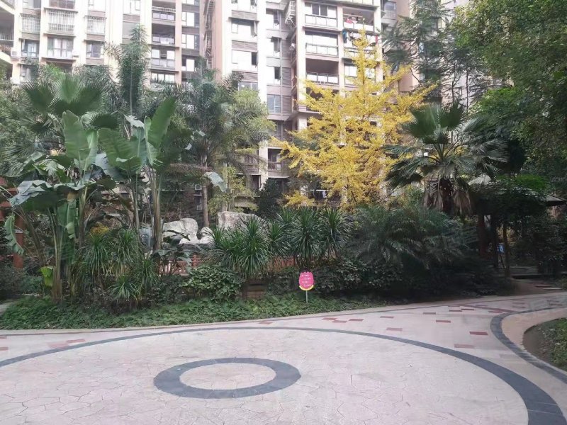 鸿通凤凰国际,三苏路,近瑞祥路-乐山鸿通凤凰国际二手房,租房,房价