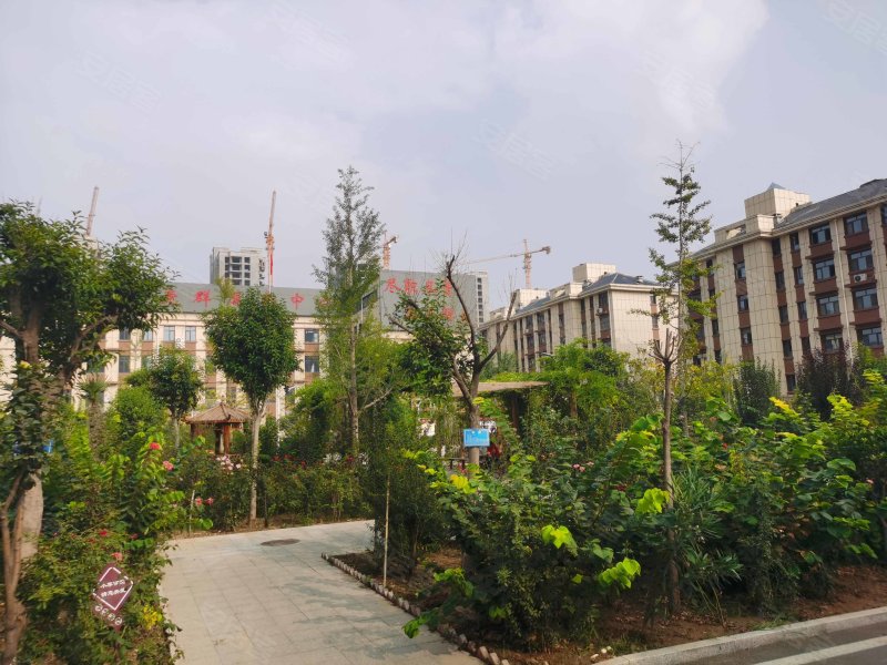 董河嘉园(定陶),府北路-菏泽董河嘉园(定陶)二手房,租房,房价-菏泽