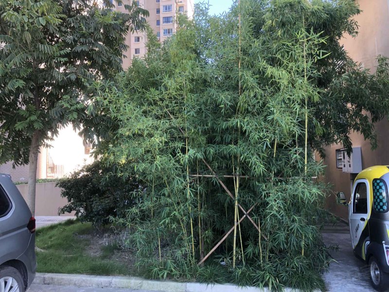 浦江瑞和城柒街区 