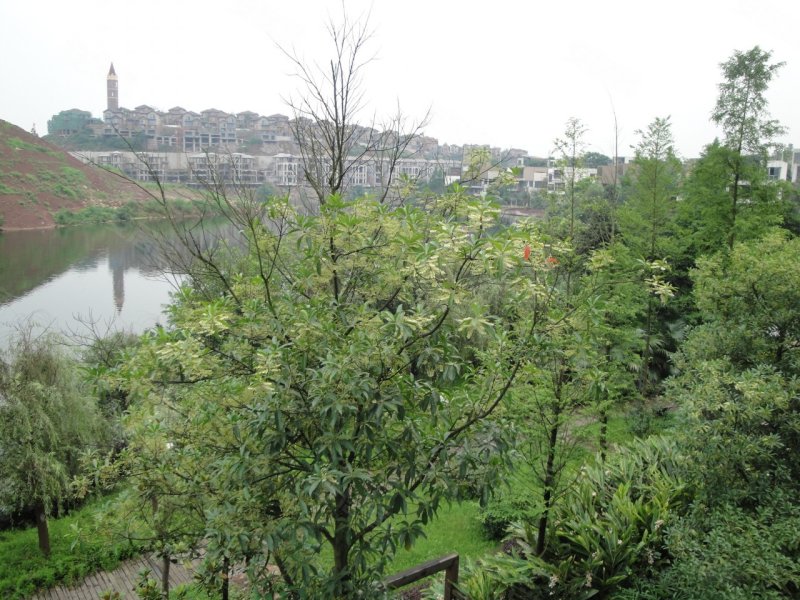 中安长岛翡翠湖(2)