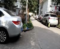 康乐花园(浦东) 