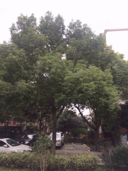 伟业金锦苑二村 