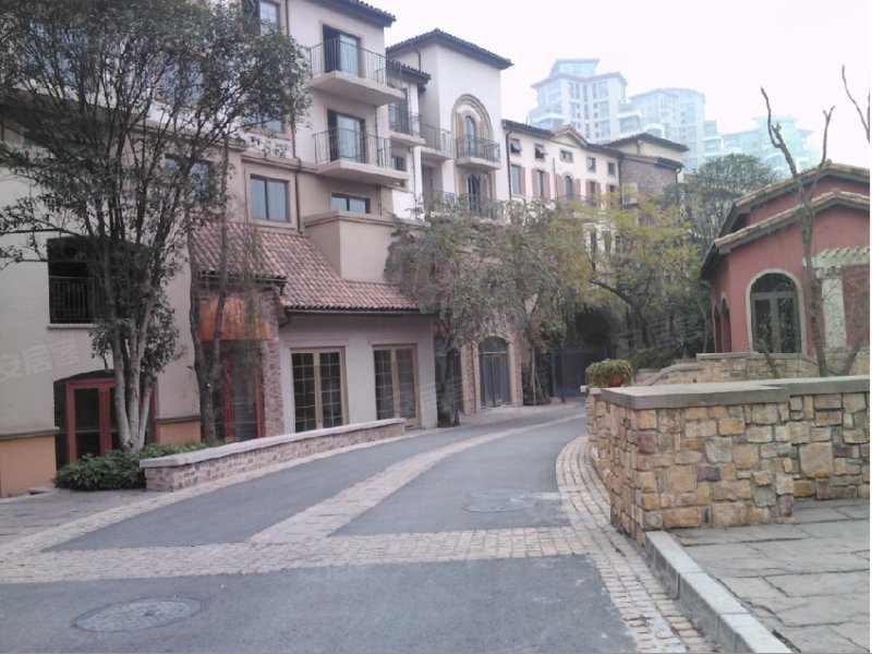 麓山国际帕萨迪纳2组