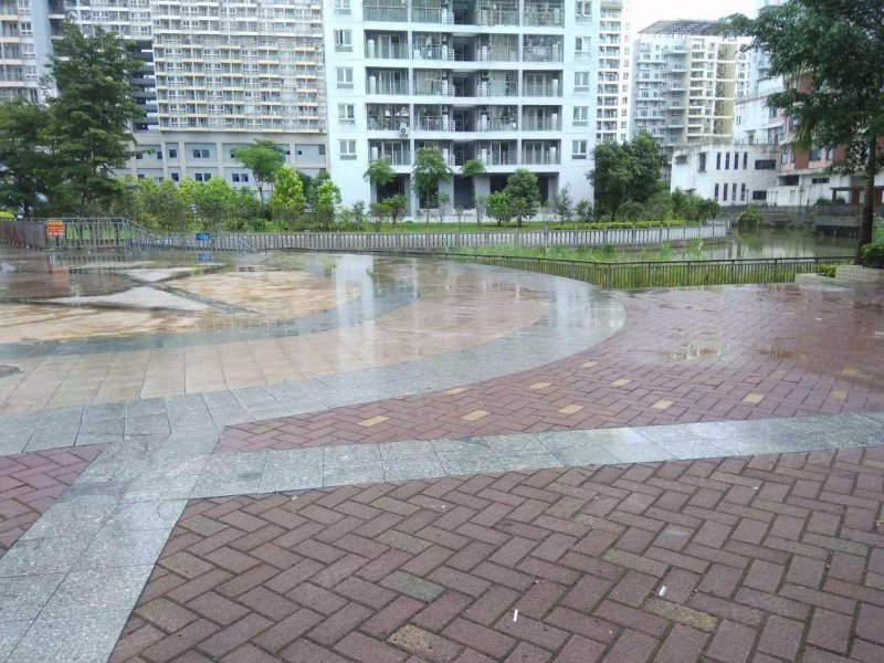 兆邦基端慧苑(商住楼),新围路-深圳兆邦基端慧苑