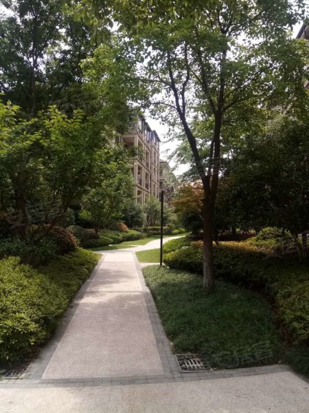 白鹭郡南柳映坊