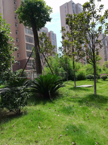 洋湖景园,景园路239号-长沙洋湖景园二手房,租房,房价-长沙安居客