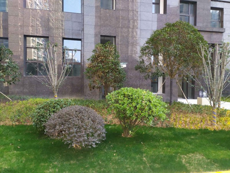 中鸿嘉园,旭阳路-乐清中鸿嘉园二手房,租房,房价-乐清安居客