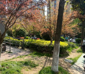 中南樾府(北区别墅)