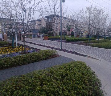 仁恒凤凰山居(别墅)