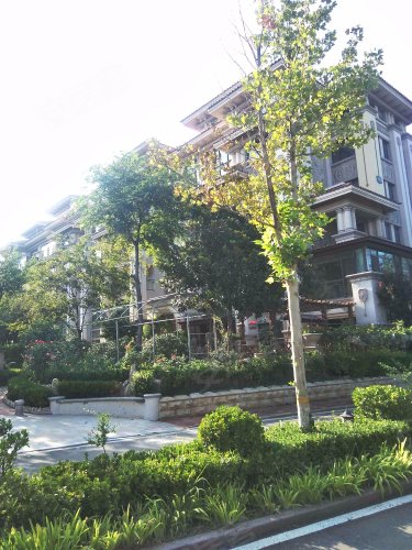 左岸绿洲,金海南路 - 寿光左岸绿洲二手房,租房,房价-寿光安居客