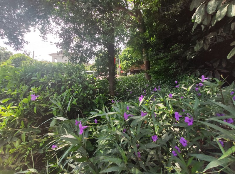 丰泰裕田花园,嘉丰路-东莞丰泰裕田花园二手房,租房,房价-东莞安居客