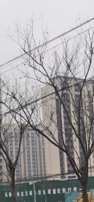 吉祥家园3室2厅1卫127㎡南36万