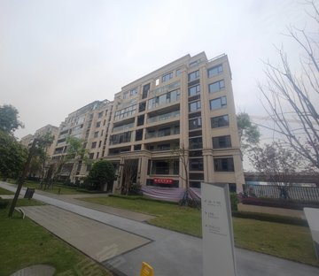 金科新天宸