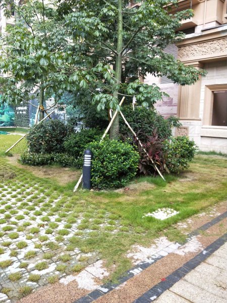 江宇阳光城,凤岭北路18号-南宁江宇阳光城二手房,租房,房价-南宁安居