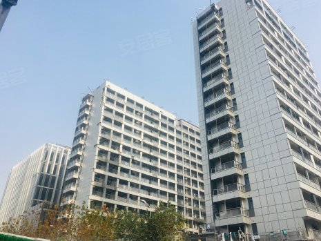 东方惠礼 