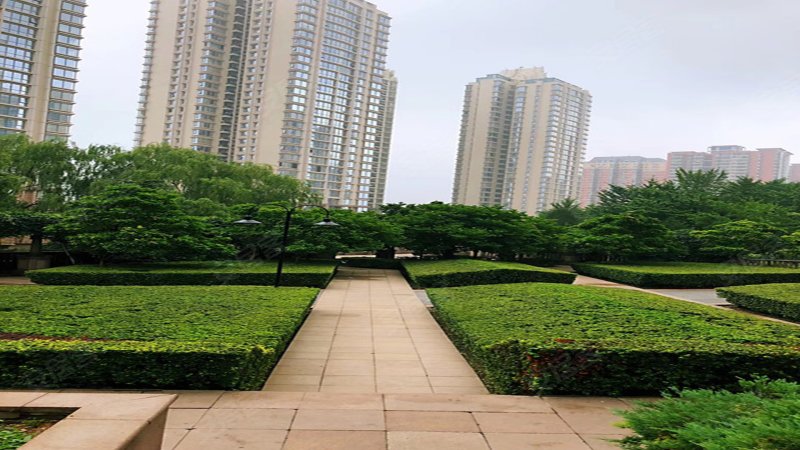 棕榈泉国际公寓