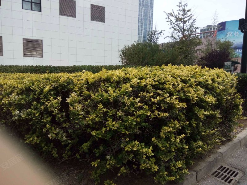 星海花园,中山路576-1号-大连星海花园二手房,租房,房价-大连安居客