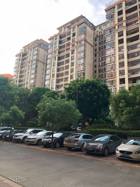 棕榈园,广南线-茂名棕榈园二手房,租房,房价-茂名安居客