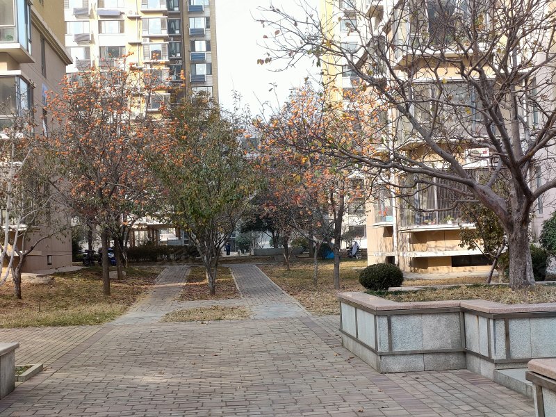 东江丽景花园图片