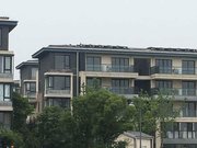 房源采光好,南北通透,业主诚意出 热销户型 真 ,绿岛花园城市绿洲二手