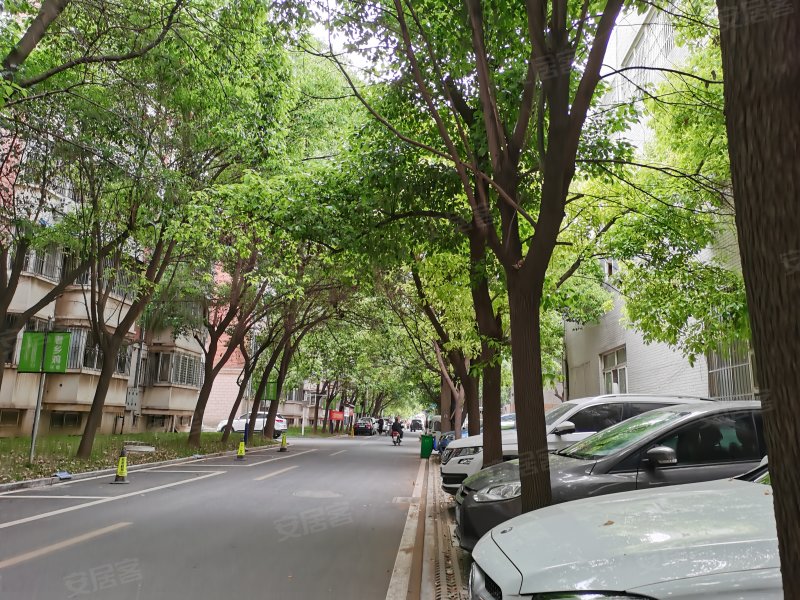 江东小区,雨山东路300号-马鞍山江东小区二手房,租房,房价-马鞍山安居