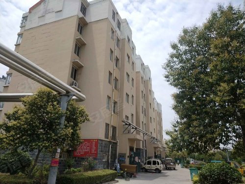 金城花园,平行南路,近青啤大道 - 滕州金城花园二手房,租房,房价-滕州