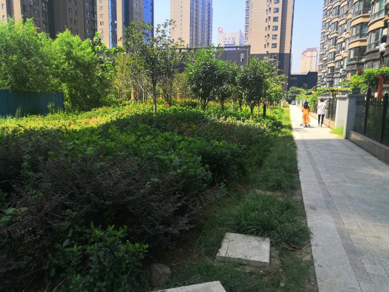 世纪景苑,解放大道-三亚世纪景苑二手房,租房,房价-三亚安居客