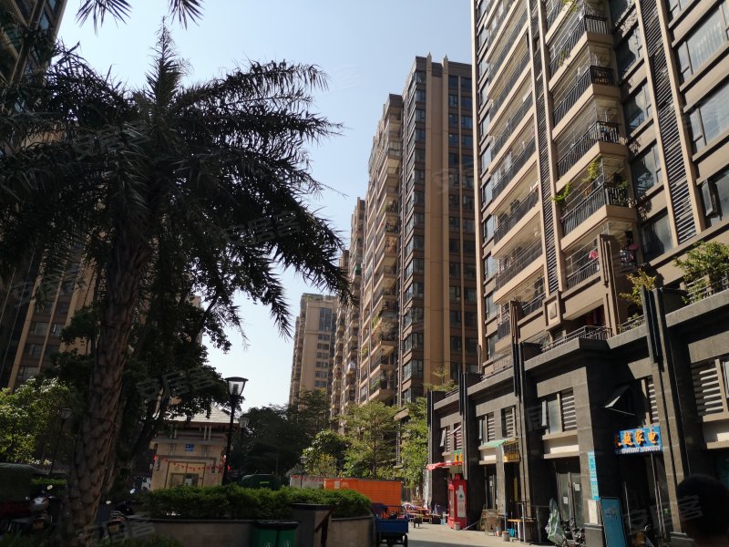 长信银湾(一区),罗村大道-深圳长信银湾(一区)二手房,租房,房价-深圳