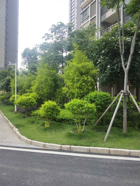 古山居苑(南区),圣塘路,近政和路-柳州古山居苑(南区)二手房,租房