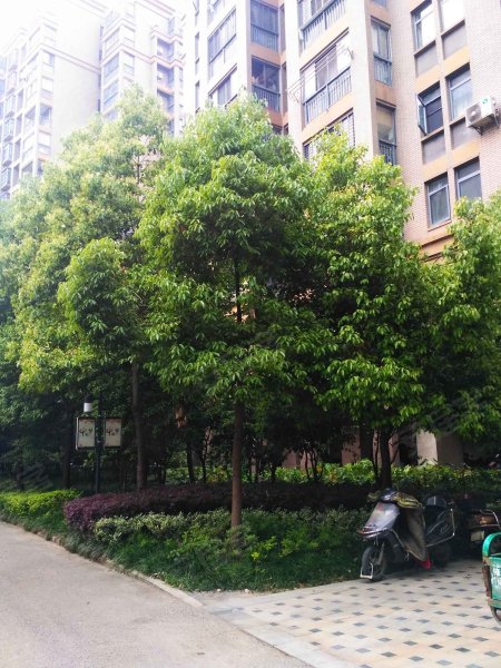 碧湖云溪(二期),当涂支路232号-合肥碧湖云溪(二期)二手房,租房,房价