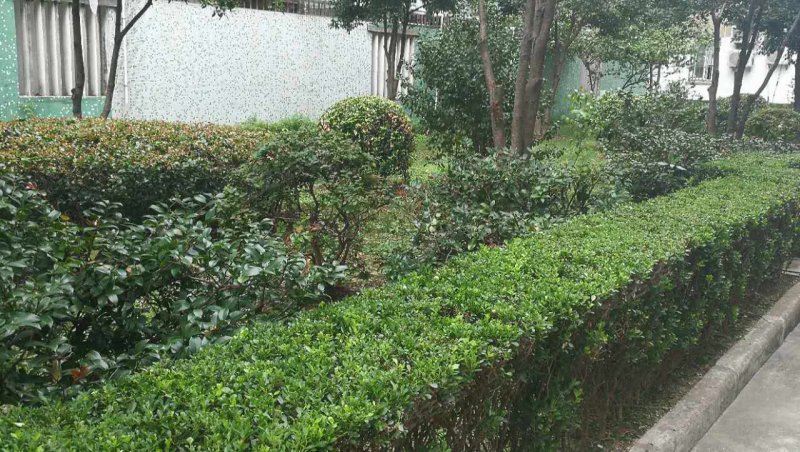 人民街78弄小区 