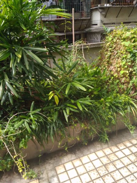 天湖花园,新民路25号-福州天湖花园二手房,租房,房价-福州安居客