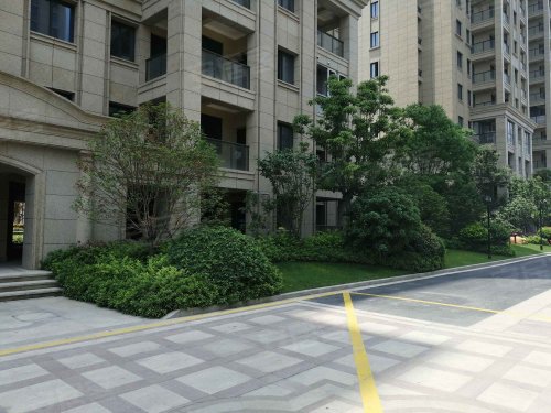 巨成悦湖湾,利东路,近环园路 - 桐乡巨成悦湖湾二手房,租房,房价-桐乡