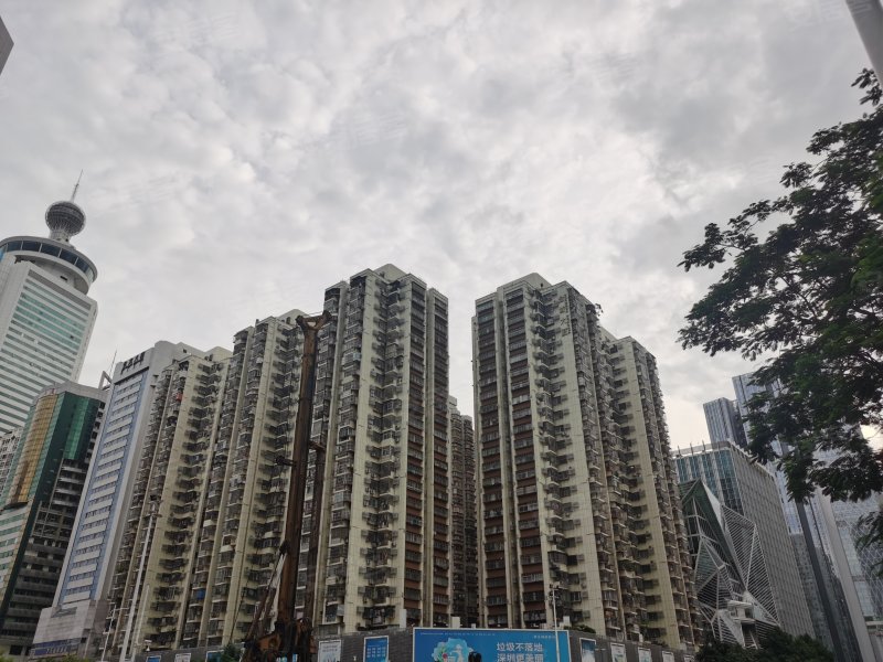 金城大厦(罗湖),深南东路3001号-深圳金城大厦(罗湖)二手房,租房,房价