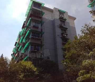 南肖埠小区图片