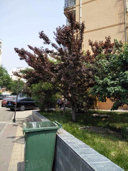 阳光舜城中区八区