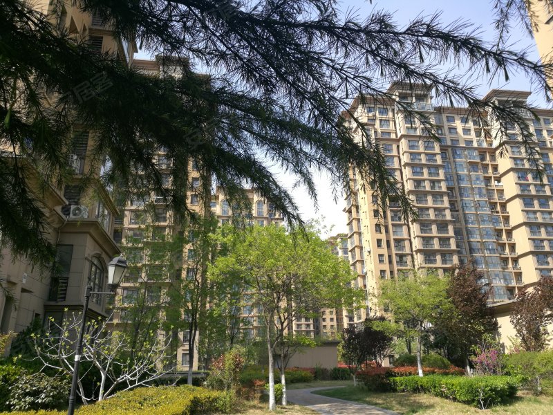 莱茵河畔,金水路817号-青岛莱茵河畔二手房,租房,房价-青岛安居客