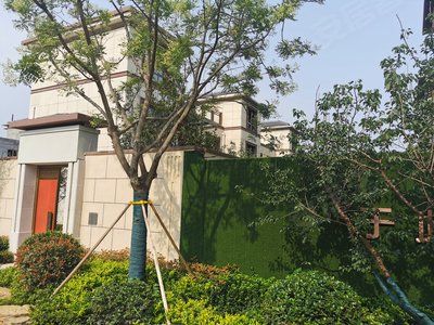 绿地理想城(别墅),广州路,近长城路 - 菏泽绿地理想城(别墅)二手房