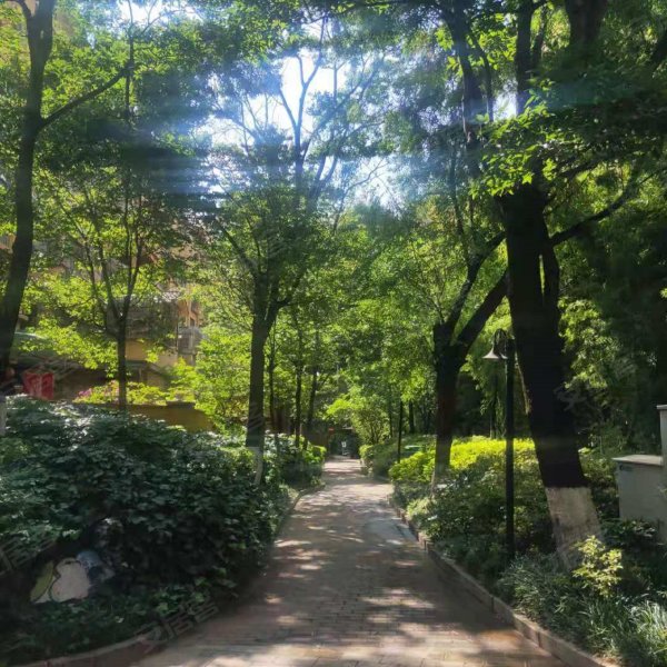 云大知城(二期)